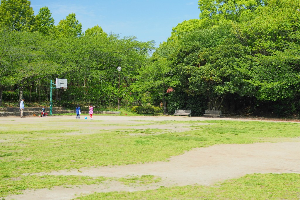 東平尾公園の草スキーが子供たちに大人気 アスレチックや遊具も 福岡touch