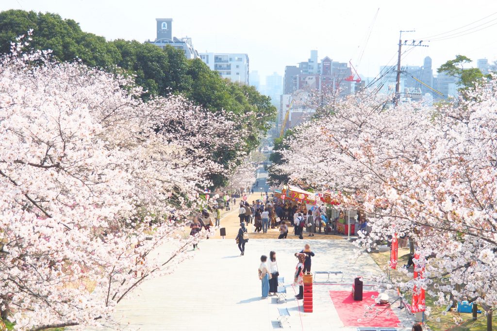 桜と参道と街並み