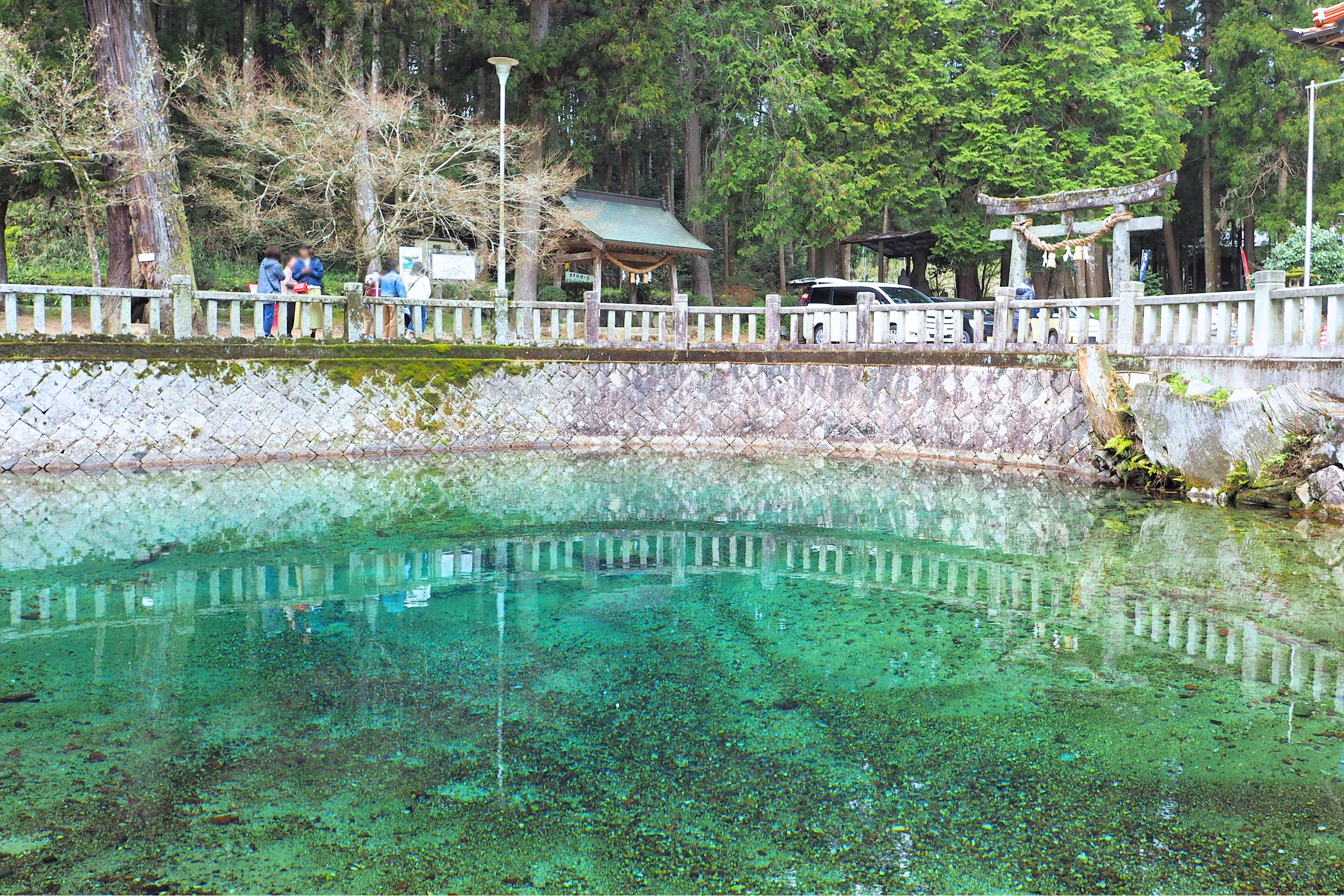 本当に青かった 別府弁天池 の神秘的な湧き水 山口県 福岡touch