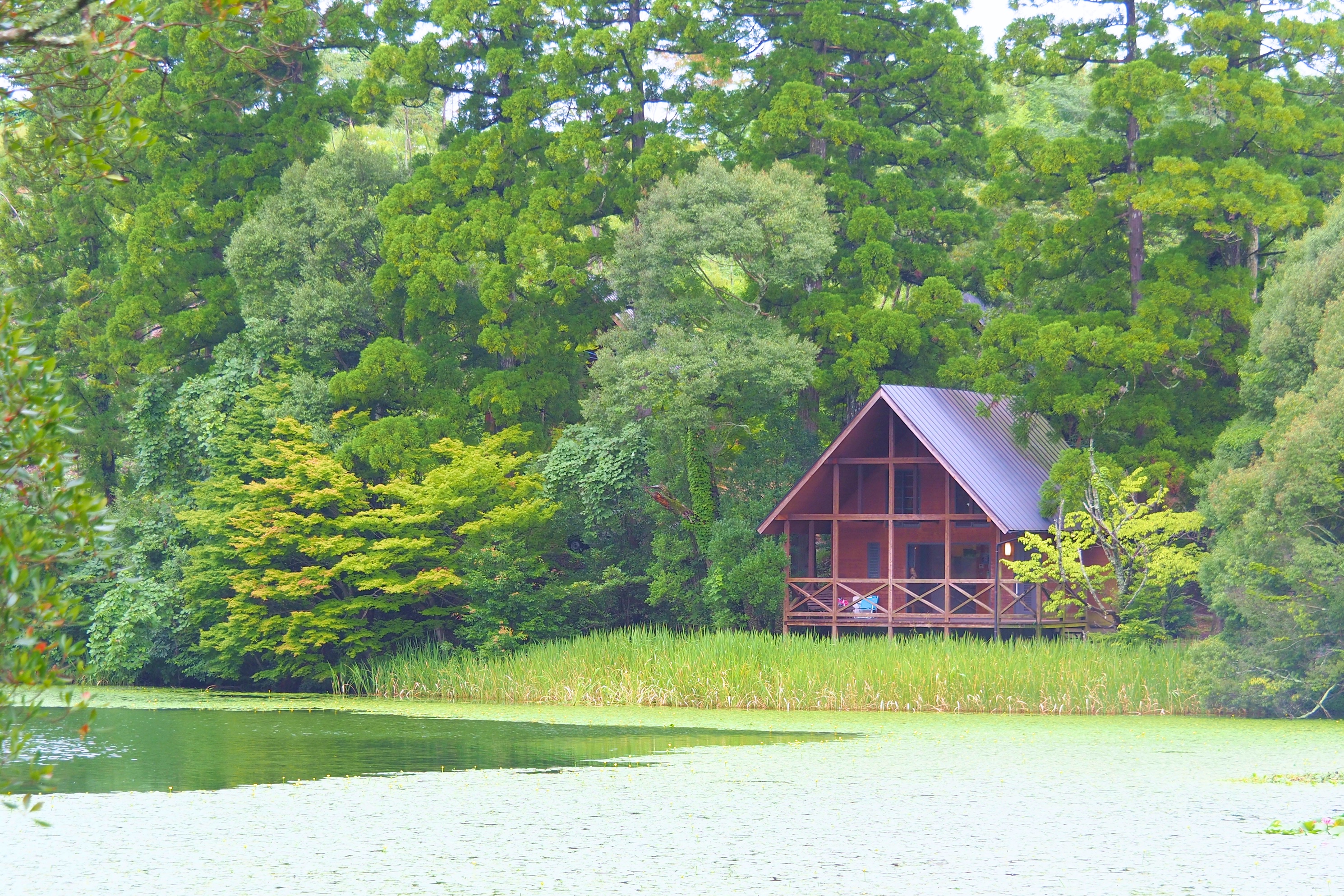 星野村の 池の山キャンプ場 がとにかく最高だった 八女市 福岡touch