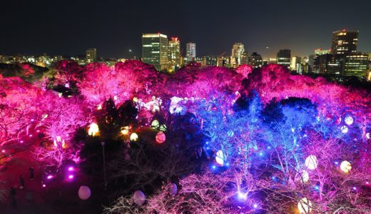 福岡城跡が幻想的な光のアート空間に！ チームラボ 福岡城跡 光の祭